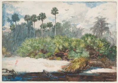 Dans une jungle de Floride - Winslow Homer